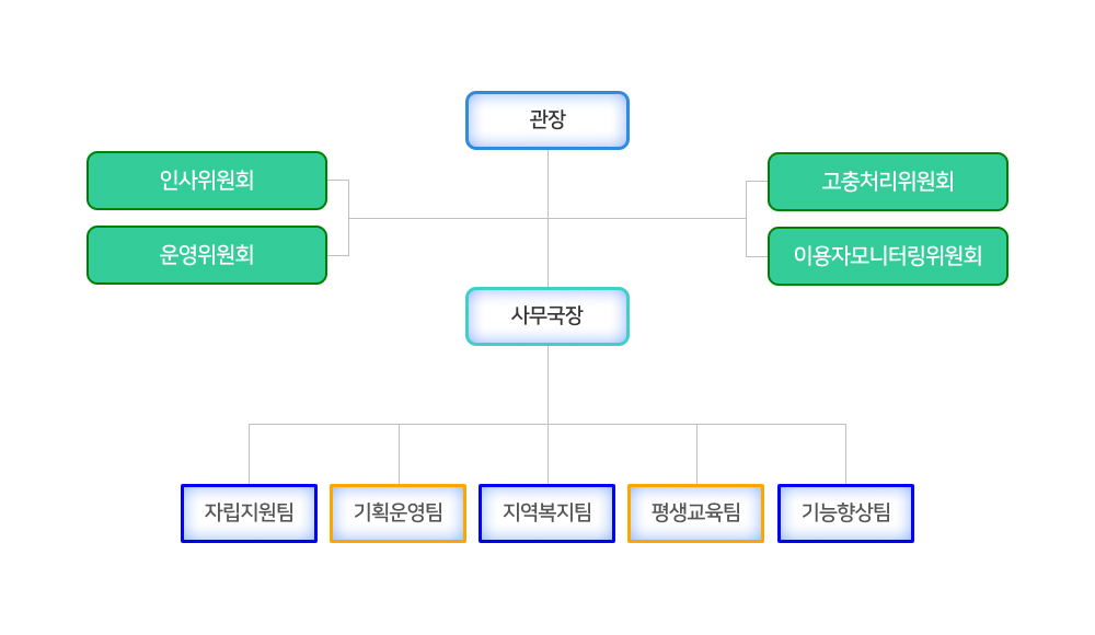 동대문시각특화장애인복지관 조직도